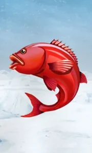 Ice Fishing